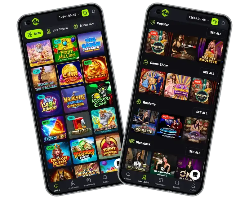 Mateslots casino app